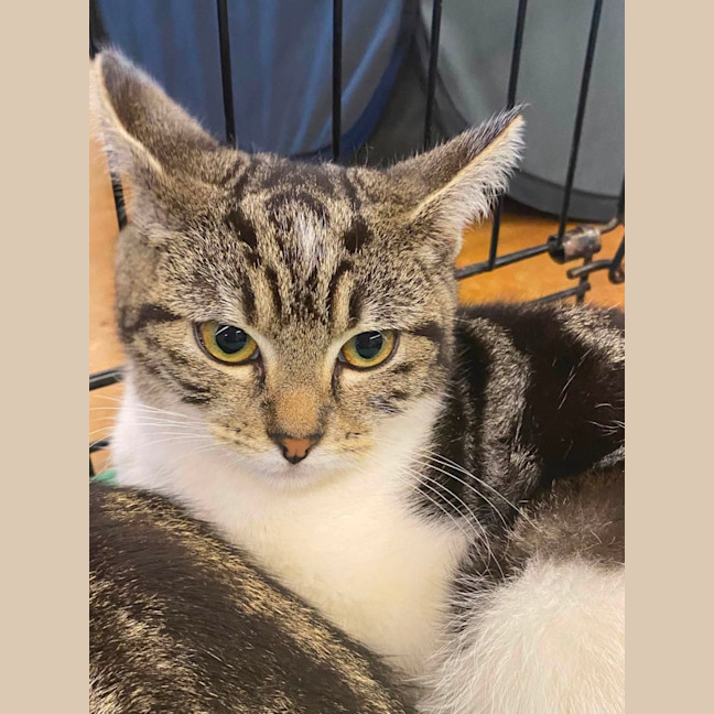 Photo of Jemima