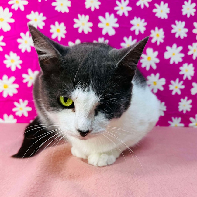 Photo of Bonnie   Located In Preston