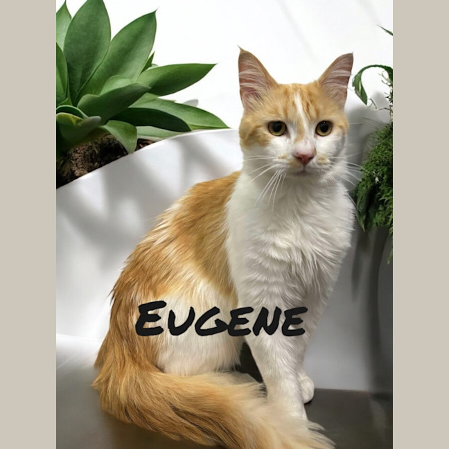Photo of Eugene