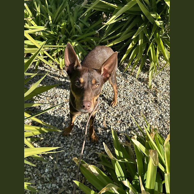 Photo of Winnie Harlow