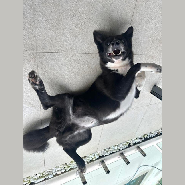 Photo of Zeus