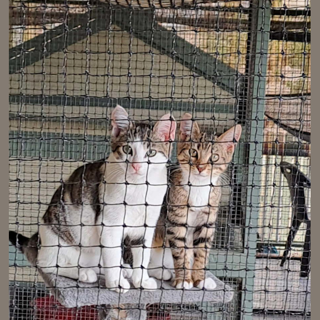 Photo of Donald And Daisy