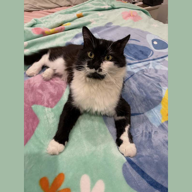Photo of Jasper