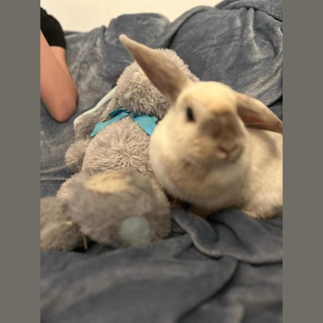 Photo of Angel