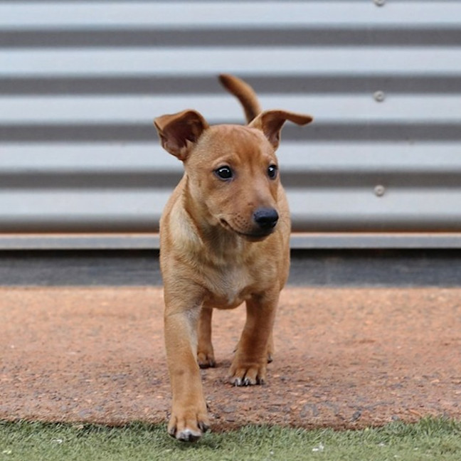 Photo of Ellie
