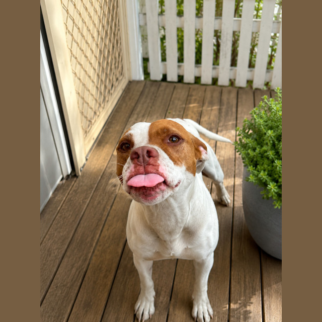 Photo of Mia