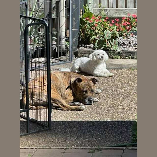 Photo of Coco & Latte