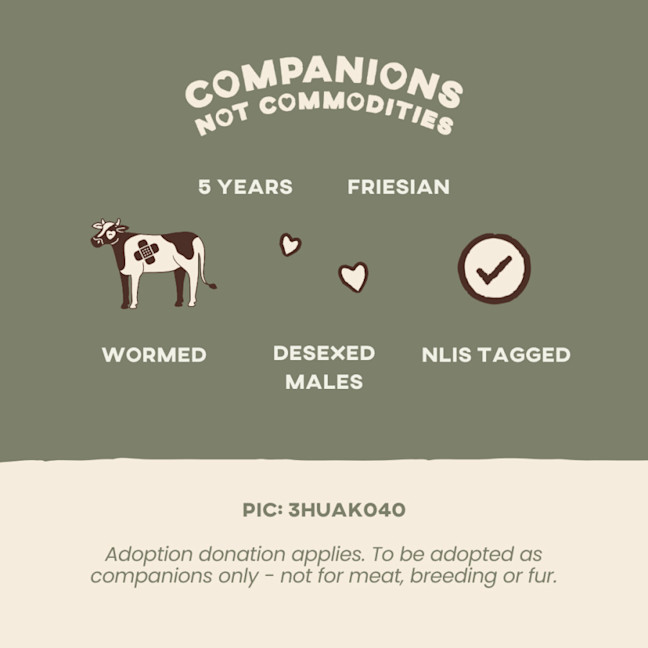 Photo of Jeremy And Ferdinand