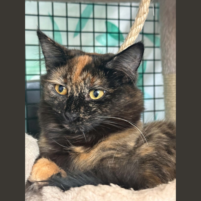 Photo of Lilith