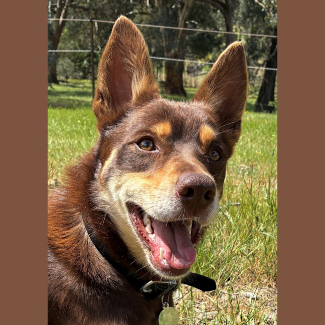 Photo of Flip