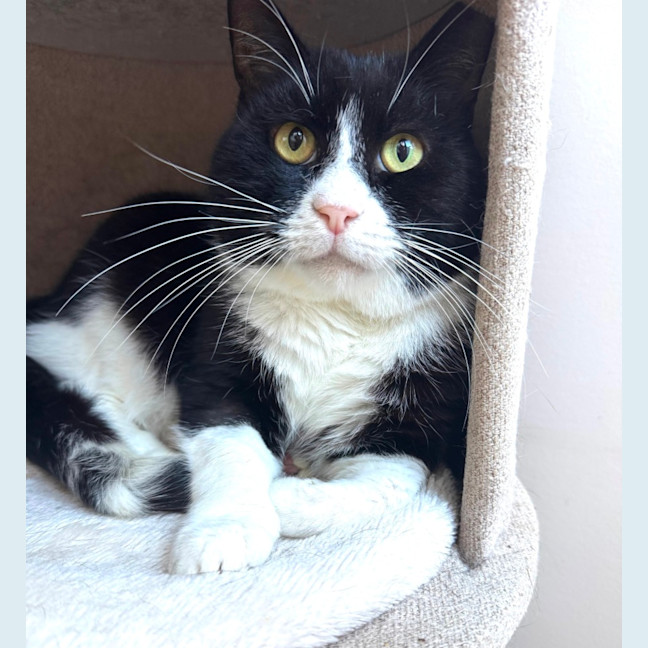 Photo of Gatsby 🌟