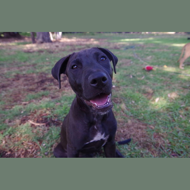 Photo of Wicked Chocolate