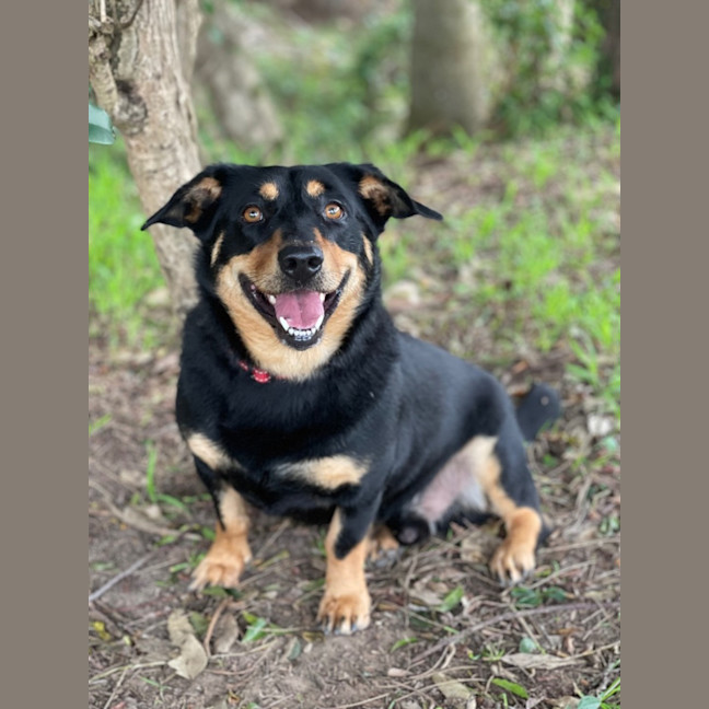 Photo of Bosley