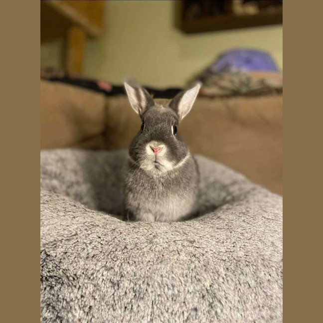 Photo of Lena & Dragonfruit