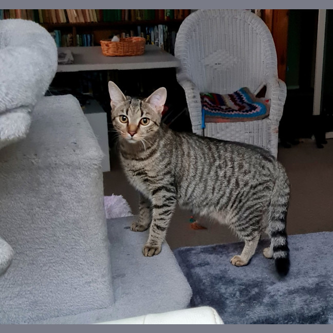 Photo of Annie