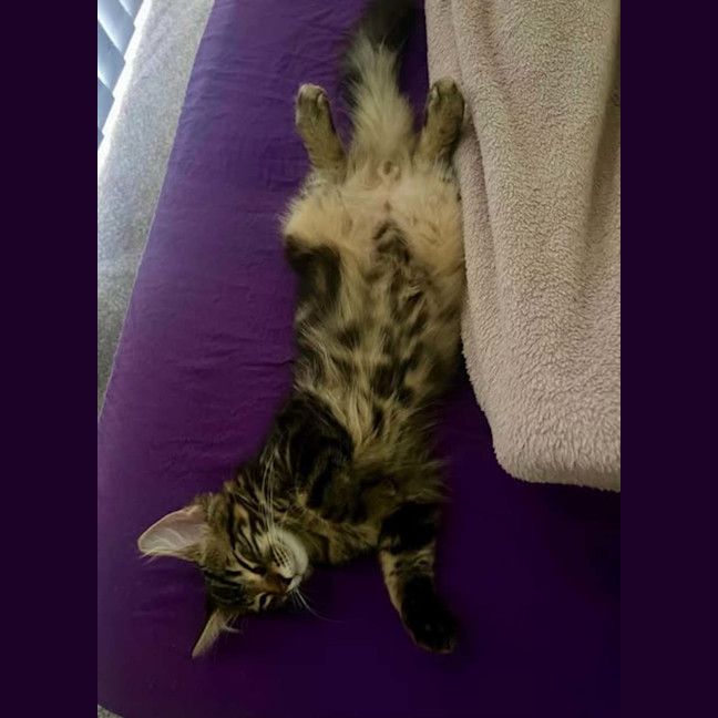 Photo of Echo