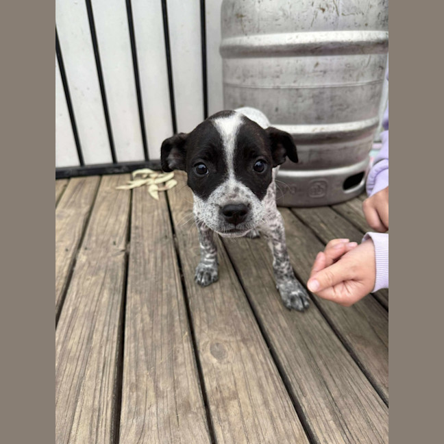 Photo of Paislee
