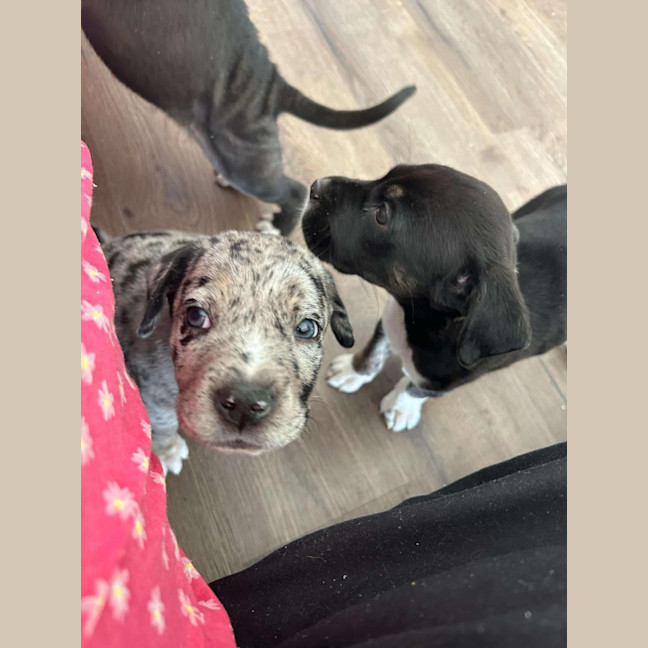 Photo of Jobberknoll