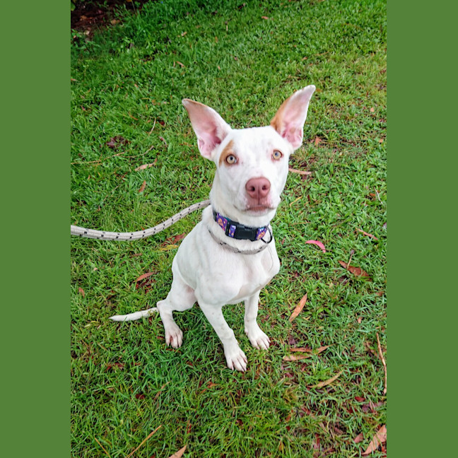 Photo of Marla
