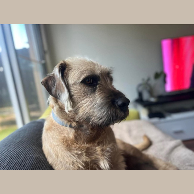 Photo of Flake