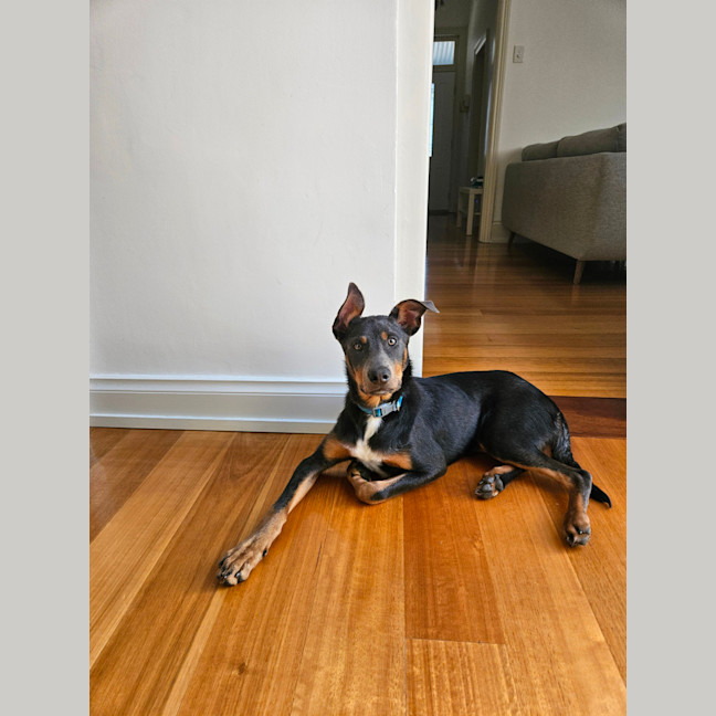 Photo of Urban