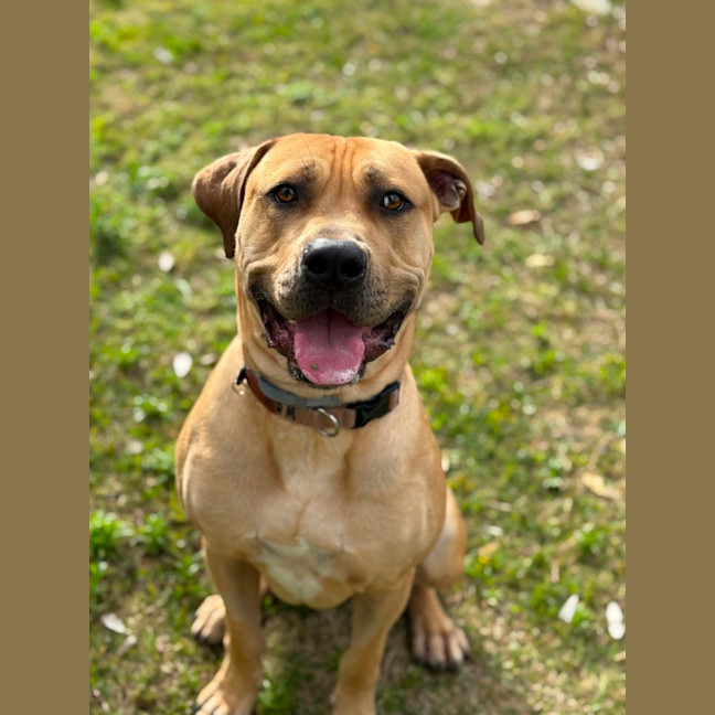 Photo of Tookie (9950)