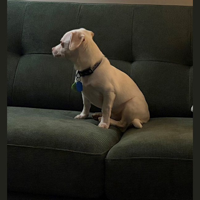 Photo of Woody