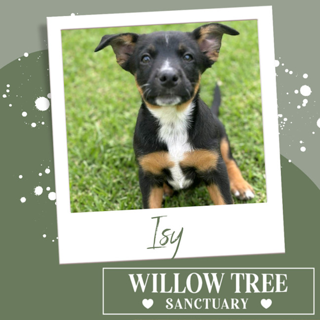 Photo of Isy