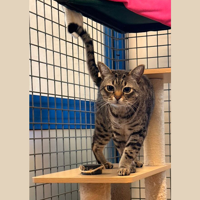 Photo of Charlie