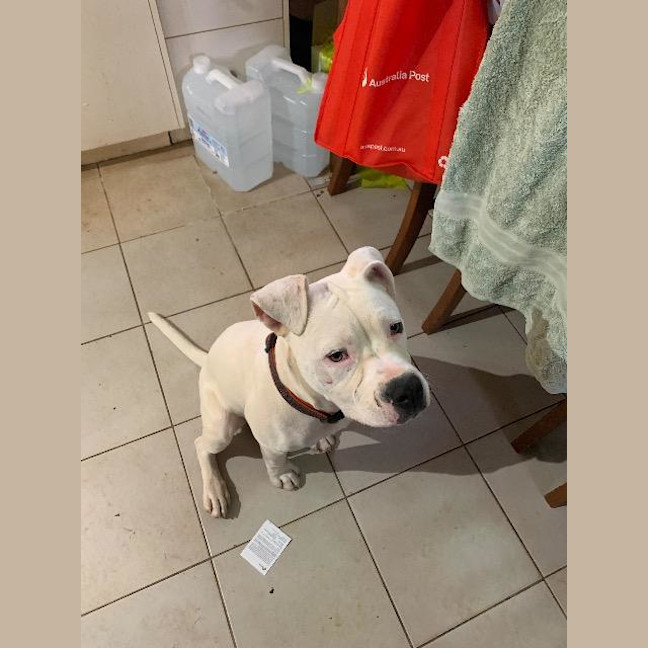 Photo of Crème Brulee