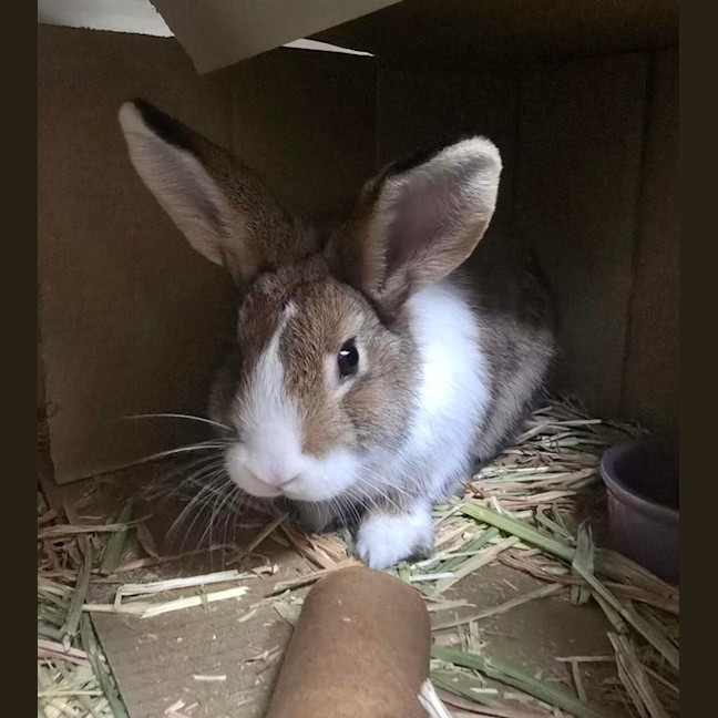 Photo of Catherine Willows