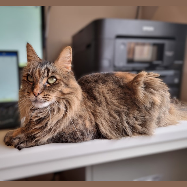 Photo of Nina O’cleary