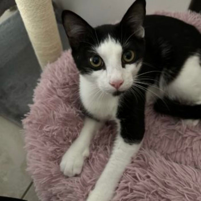 Photo of Lucky And Sosage