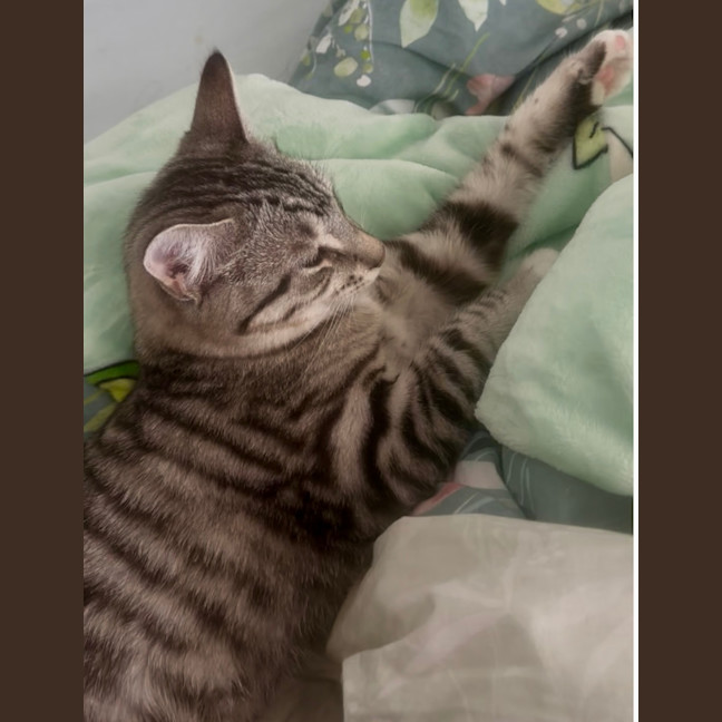 Photo of Peter And Brock