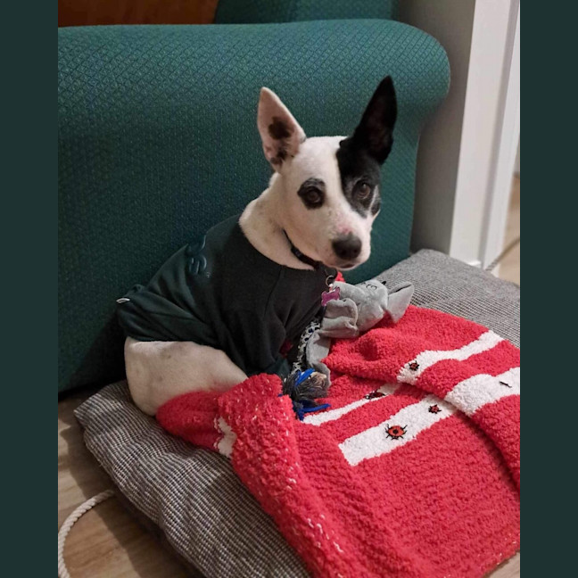 Photo of Roo 💜