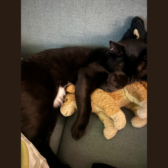 Photo of Slinky Malinky