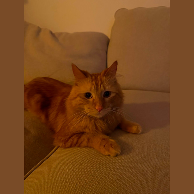 Photo of Flynn