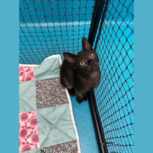 Photo of Poco