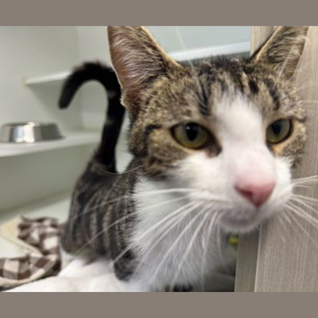 Photo of Delilah