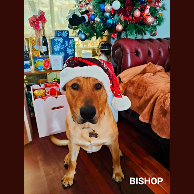 Photo of Bishop