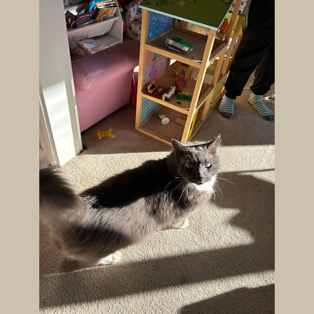 Photo of Humphrey 