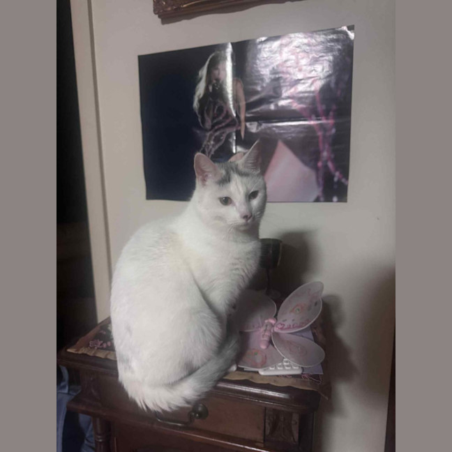 Photo of Nora   In Foster Care In Fawkner