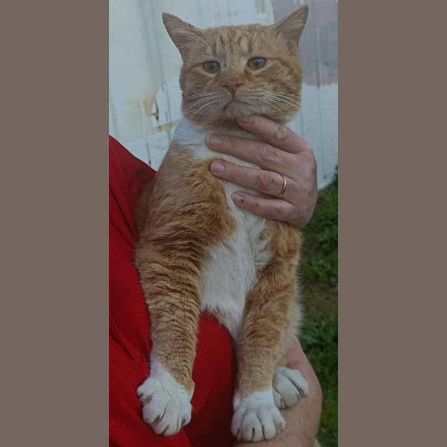 Photo of Tigger