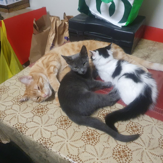 Photo of Mirabelle (With Aurora)