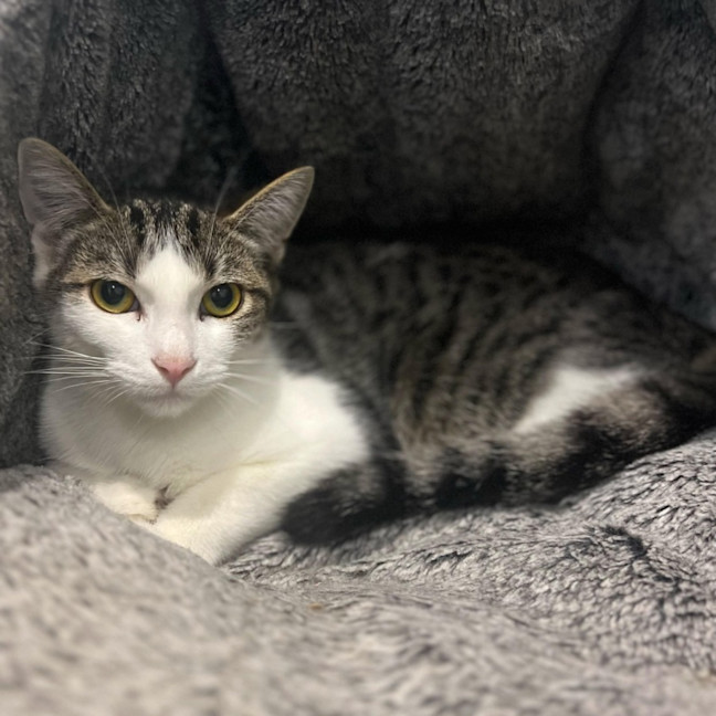 Photo of 12167   Laurence 