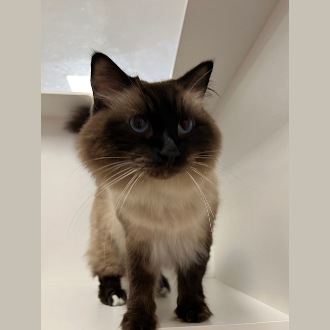 Photo of Mr Handsome