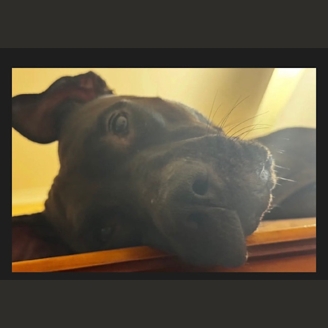 Photo of Lena 