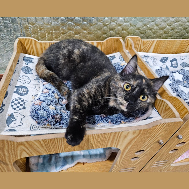 Photo of Rosie