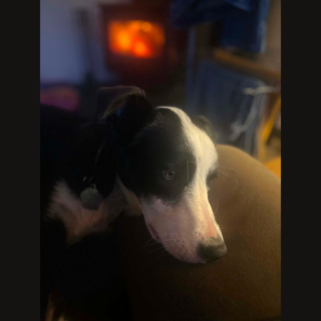 Photo of Kody