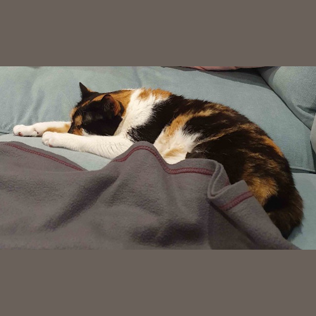 Photo of Queen Mimmi